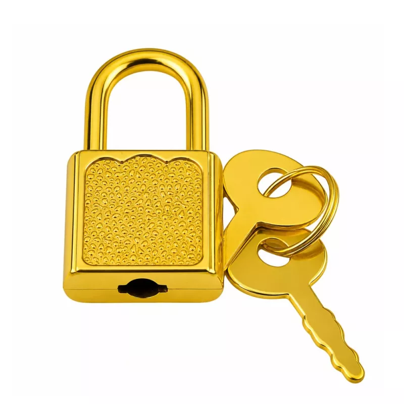 LEAN TOYS plastic schatkist voor kinderen met hangslot en 2 sleutels, goud versierd