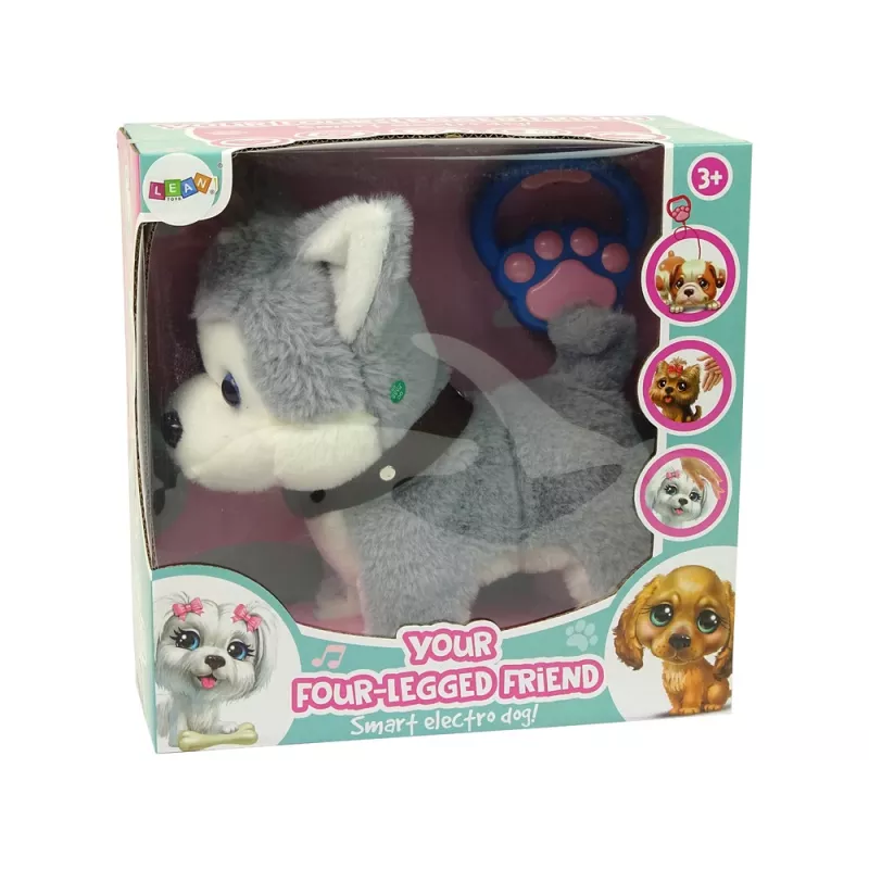 LEAN TOYS pluchen hond interactief educatief riem liedjes wandelingen