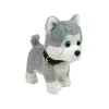 LEAN TOYS pluchen hond interactief educatief riem liedjes wandelingen