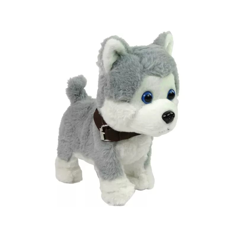 LEAN TOYS pluchen hond interactief educatief riem liedjes wandelingen