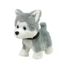 LEAN TOYS pluchen hond interactief educatief riem liedjes wandelingen