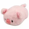LEAN TOYS Pluchen varken mascotte Zacht knuffeldier Roze 16 cm