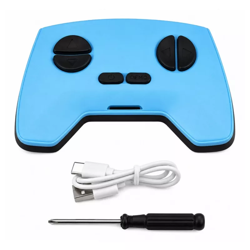 LEAN TOYS RC gekko hagedis muurklimmend 360° blauw