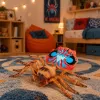LEAN TOYS Spider Tarantula rubberen figuur rekbaar realistisch 12 cm