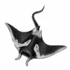 LEAN TOYS pijlstaartrog rubber figuur rekbaar realistisch oceaanvis 13cm