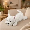 LEAN TOYS West Highland White Terrier pluchen hond knuffeldier, wit, 40 cm