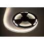 LED-strip 25m Rebel 300x5050 SMD neutraalwit waterdicht 12V
