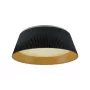LED LENSER plafondlamp TAI D45 4000K zwart