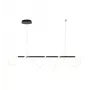 Tigris Long Hanglamp LED, 4000K, zwart