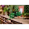 LEGO BOTANICALS 11512 hangende drakenklimop bouwset