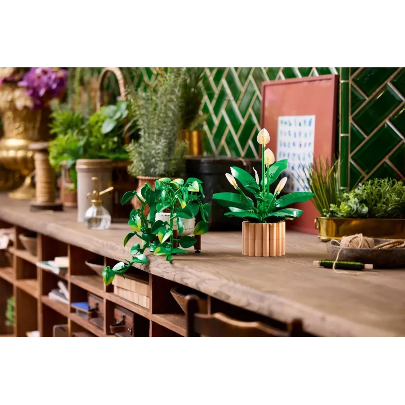 LEGO BOTANICALS 11512 hangende drakenklimop bouwset