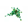 LEGO BOTANICALS 11512 hangende drakenklimop bouwset