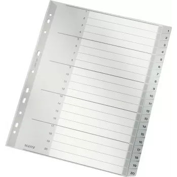 LEITZ 1284 A4 extra brede genummerde tabbladen 1-20, grijs, 20-delig, polypropyleen, 0,12 mm, met beschrijfbaar voorblad 1284-00