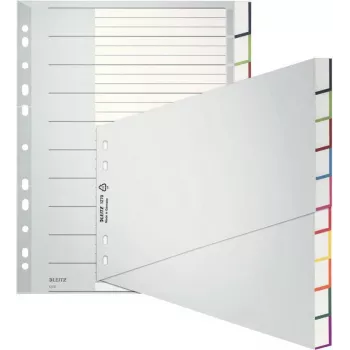 Leitz A4 blanco tabbladen, polypropyleen, grijs, 10-delig, universele perforatie 1270