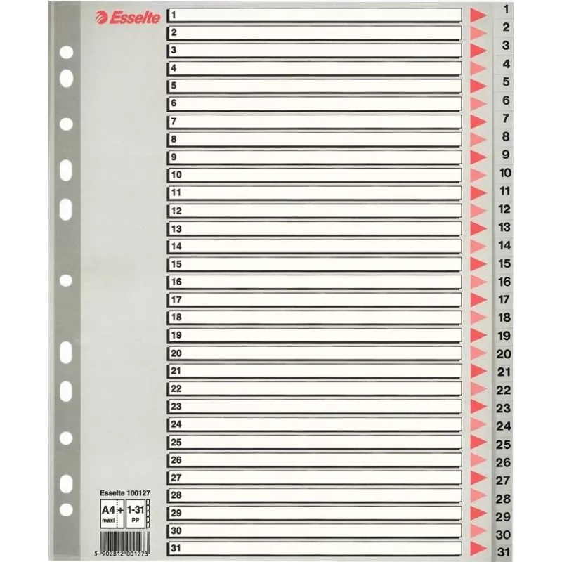 LEITZ A4 extra brede blanco kunststof registers, 20-delige, universele perforatie, transparant wit 1278-00-00