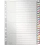 LEITZ A4 extra brede blanco kunststof registers, 20-delige, universele perforatie, transparant wit 1278-00-00