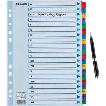 Esselte A4 Mylar A-Z register, 20-delig, meerkleurig (100167)
