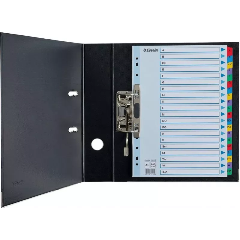 Esselte A4 Mylar A-Z tabbladen, 20-delig, meerkleurig (100167)