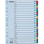 Esselte A4 Mylar A-Z register, 20-delig, meerkleurig (100167)
