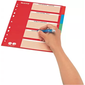 LEITZ kartonregister, blanco tabs, A4, 5-delig, meerkleurig, 160 g/m², met rood beschrijfbaar voorblad 250 g/m² (4386-60-00)