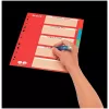 LEITZ kartonregister, blanco tabs, A4, 5-delig, meerkleurig, 160 g/m², met rood beschrijfbaar voorblad 250 g/m² (4386-60-00)