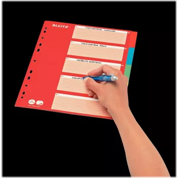 LEITZ kartonregister, blanco tabs, A4, 5-delig, meerkleurig, 160 g/m², met rood beschrijfbaar voorblad 250 g/m² (4386-60-00)