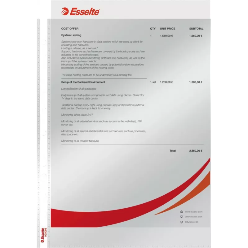 LEITZ Esselte standaard documenthoes A4, polypropyleen, kristalhelder, 0,06 mm, bovenzijde open, documentveilig, meervoudige perforatie, versterkte rand, 100-pack (925008)