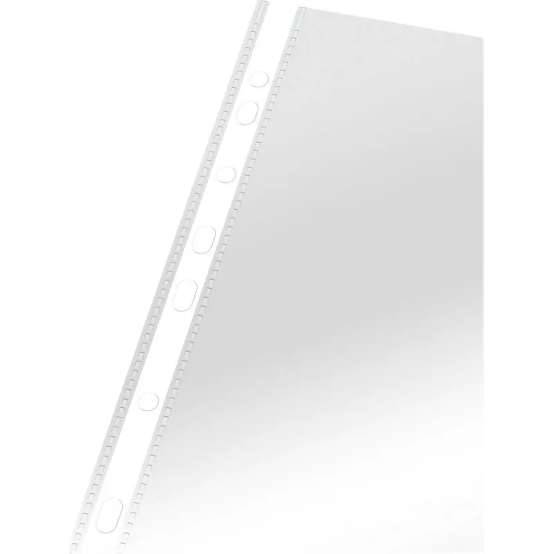 LEITZ Esselte standaard documenthoes A4, polypropyleen, kristalhelder, 0,06 mm, bovenzijde open, documentveilig, meervoudige perforatie, versterkte rand, 100-pack (925008)