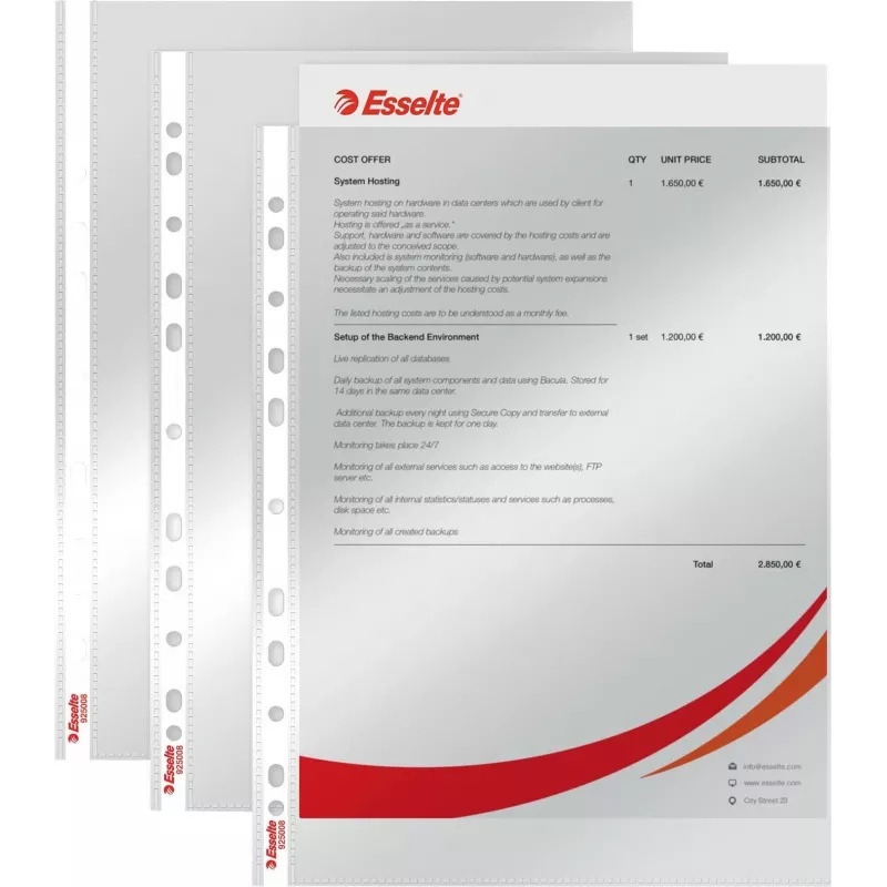LEITZ Esselte standaard documenthoes A4, polypropyleen, kristalhelder, 0,06 mm, bovenzijde open, documentveilig, meervoudige perforatie, versterkte rand, 100-pack (925008)