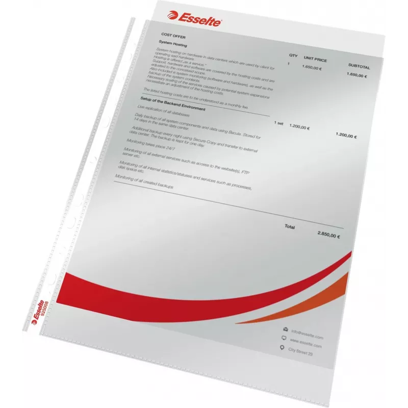 LEITZ Esselte standaard documenthoes A4, polypropyleen, kristalhelder, 0,06 mm, bovenzijde open, documentveilig, meervoudige perforatie, versterkte rand, 100-pack (925008)