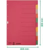 LEITZ Extra stevige karton register, blanco tabs, A4, 10-delig, meerkleurig, 230 g/m², 5-kleurig doorgestreken karton (4359-00-00)
