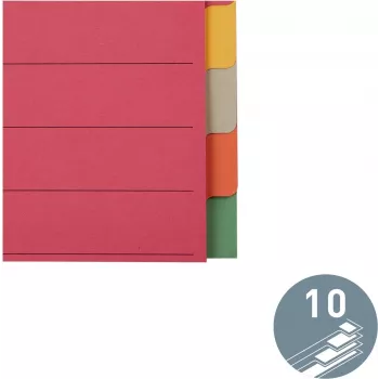 LEITZ Extra stevige karton register, blanco tabs, A4, 10-delig, meerkleurig, 230 g/m², 5-kleurig doorgestreken karton (4359-00-00)