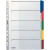 LEITZ Mylar kartonregister, blanco, A4, 5-delig, grijze tabs, 160 g/m², met beschrijfbaar voorblad 4320-00-00