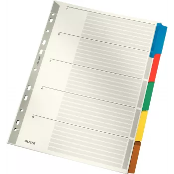LEITZ Mylar kartonregister, blanco, A4, 5-delig, grijze tabs, 160 g/m², met beschrijfbaar voorblad 4320-00-00