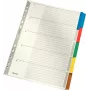 LEITZ Mylar kartonregister, blanco, A4, 5-delig, grijze tabs, 160 g/m², met beschrijfbaar voorblad 4320-00-00