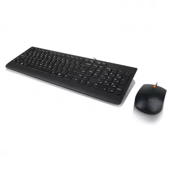 Lenovo 300 USB-toetsenbord - US English QWERTY - zwart