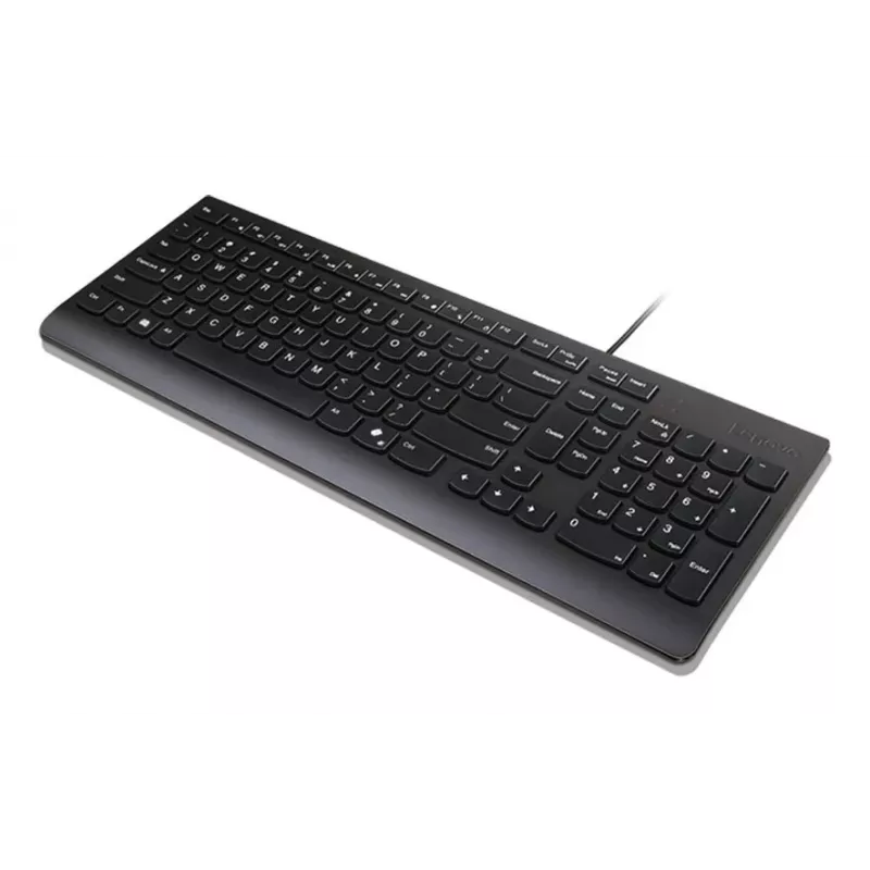 Lenovo Essential toetsenbord - 2,5-zone-indeling - bedraad USB - QWERTZ - Duits - Raven Black