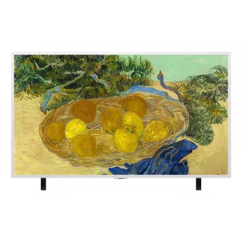 LG 55LX7B6LA.AEEQ 55 inch Gallery OLED-tv 4K Ultra HD Smart webOS 23 zilver/zwart