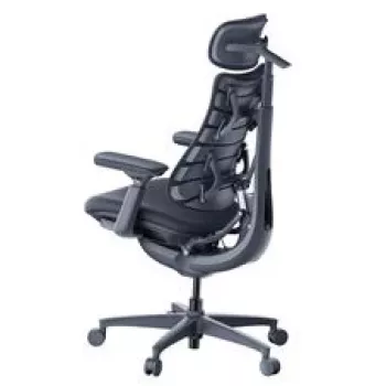 LiberNovo Omni ergonomische bureaustoel met actieve rugleuning en massagefunctie, zwart