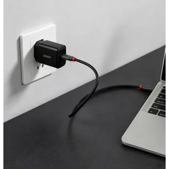 Lindy 65W USB Type-C GaN-oploader (73448)