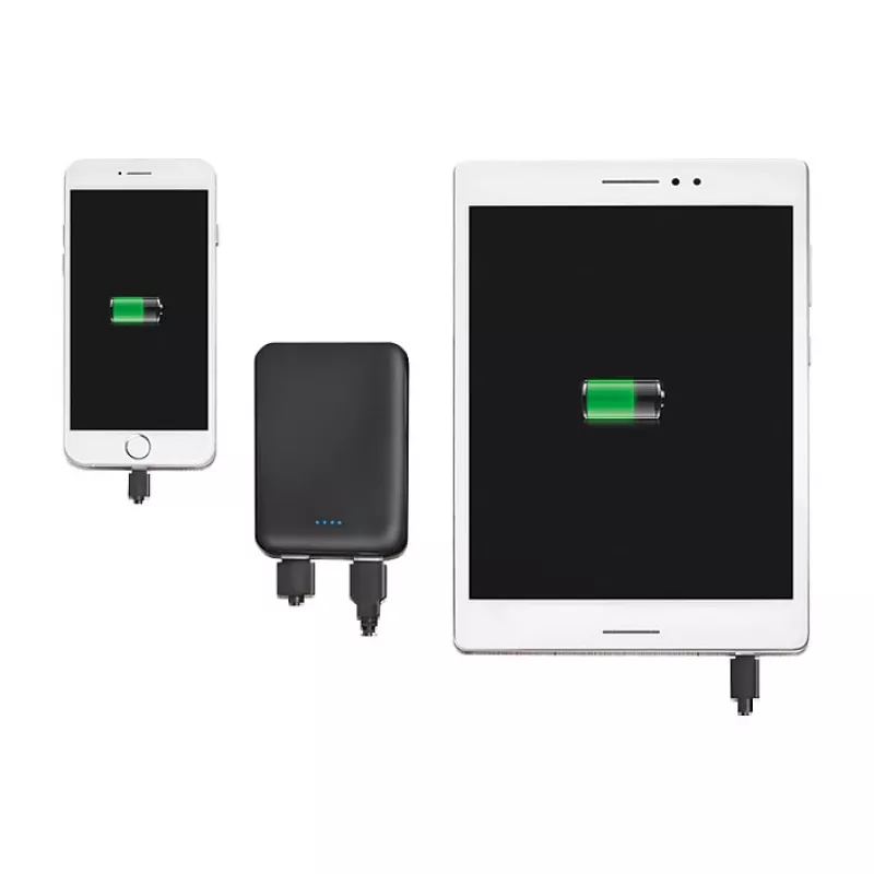 LogiLink PA0202 powerbank 5000mAh zwart