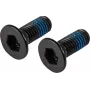 Lucky Scooter Rem bout - M6 x 20mm inbus, zwart geoxideerd, 2-pack
