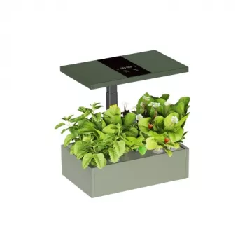 LUMI LEGEND CORPORATION HS085001 slim binnen hydrocultuur kweeksysteem, 12-pod, full spectrum LED, Wi-Fi app-bediening, wit