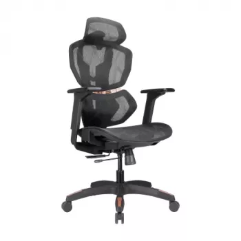 LUMIVIDA PREMIUM ergonomische bureaustoel met hoofd- en lendensteun, 3D-verstelbare armleuningen - zwart