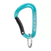 Mammut Mini karabiner Classic Keylock S - zilver/grijs