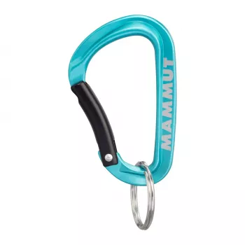 Mammut Mini karabiner Classic Keylock S - zilver/grijs