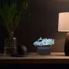 Manta SNL64RGB LED-lamp lichtdecoratie auto 3D RGB