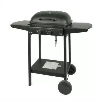 MASTER GRILL Master gasbarbecue 2-brander MG672