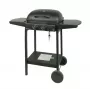 MASTER GRILL Master gasbarbecue 2-brander MG672