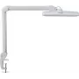 MAUL LED-bureaulamp Intro dimbaar met klemvoet wit